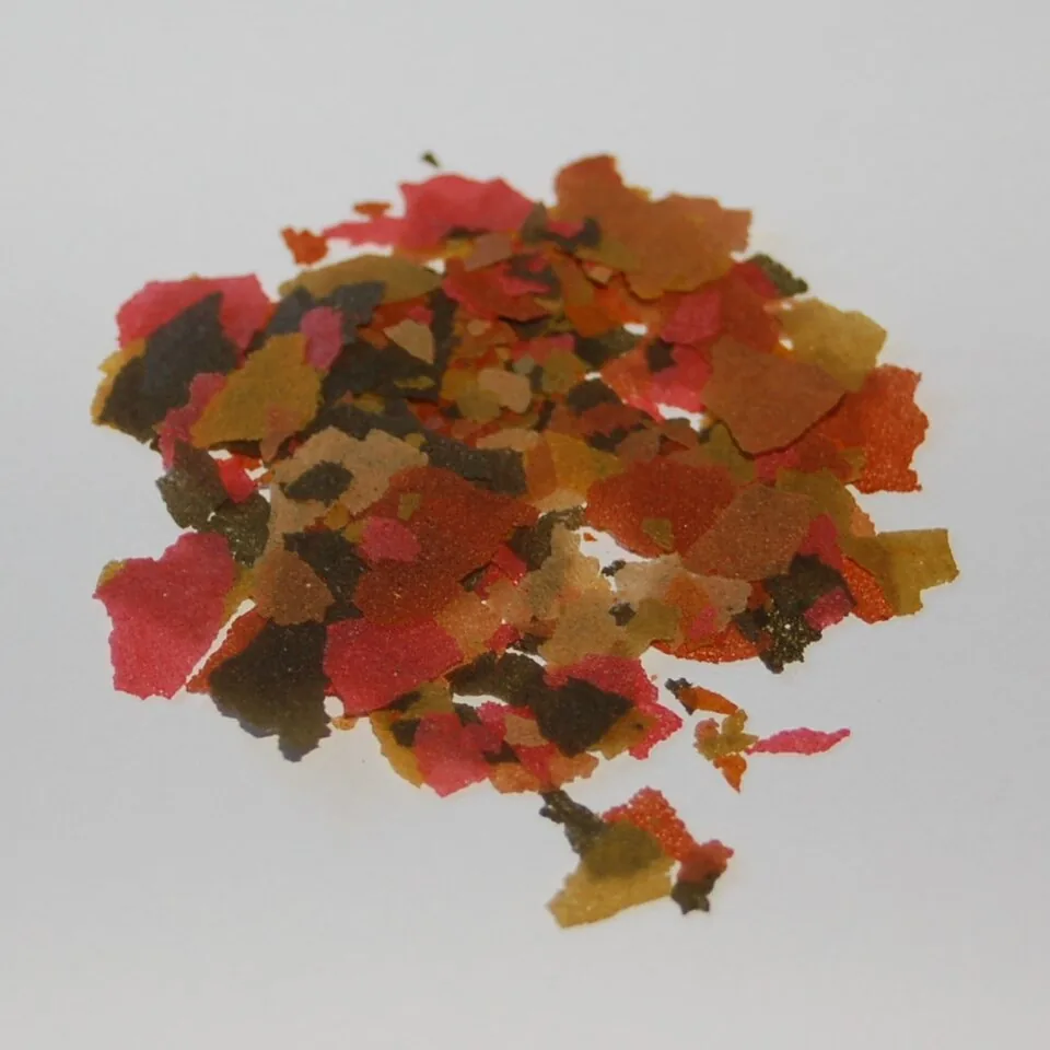 A close view of multicolored aquarium fish-food flakes