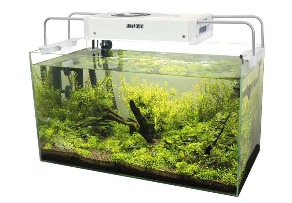 An LED aquarium light mounted above a planted tank